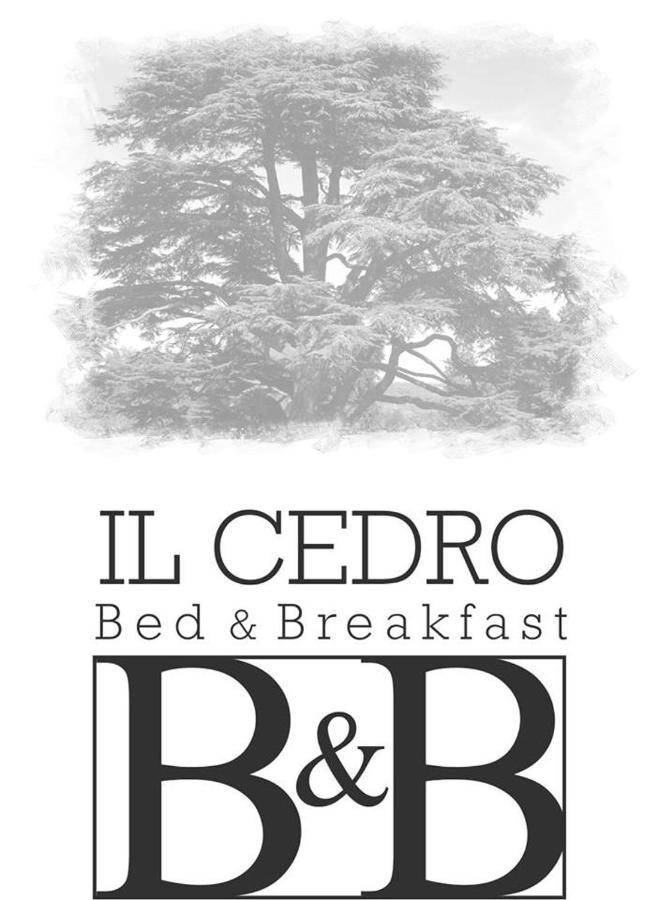 B&B Il Cedro Cava deʼ Tirreni Eksteriør billede