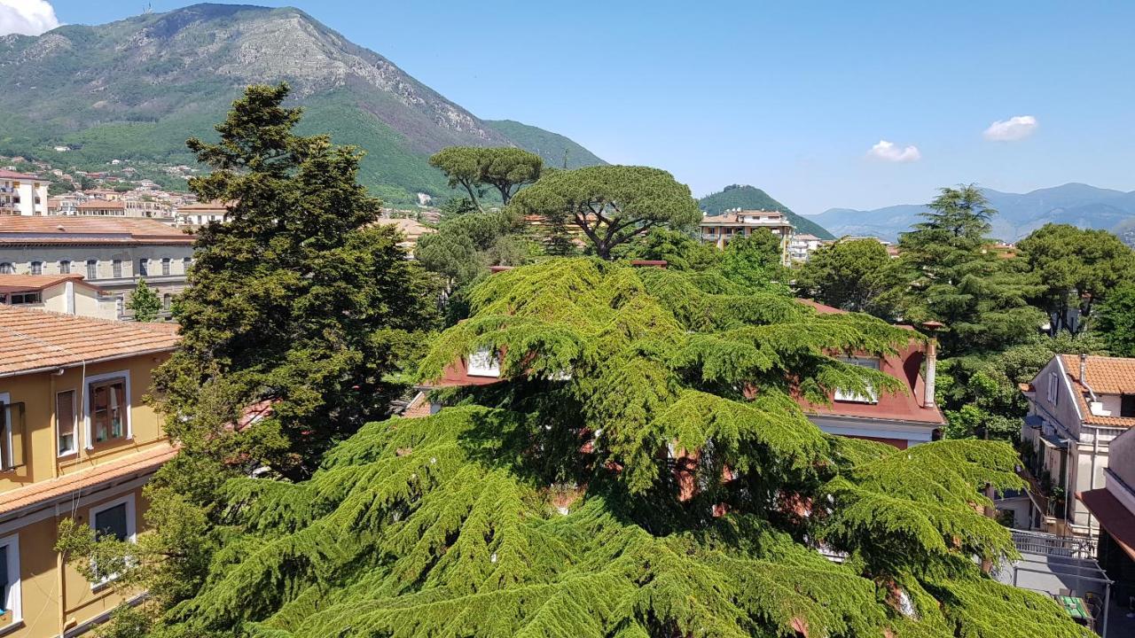 B&B Il Cedro Cava deʼ Tirreni Eksteriør billede